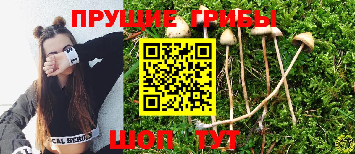 Псилоцибиновые грибы Magic Shrooms  Вход с VPN  Новоалександровск  Галлюциногенные грибы мицелий 